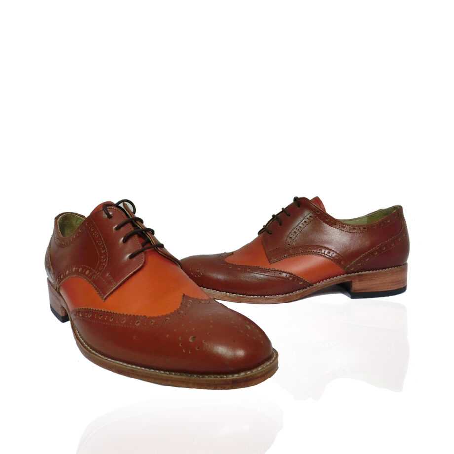 brown leather shoes