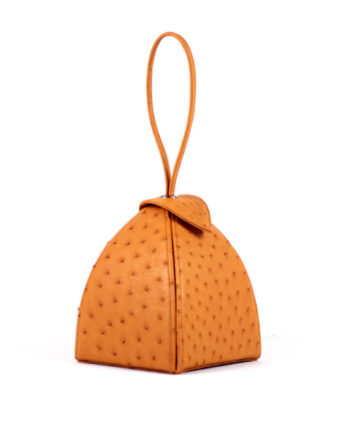 Ostrich Leather bag