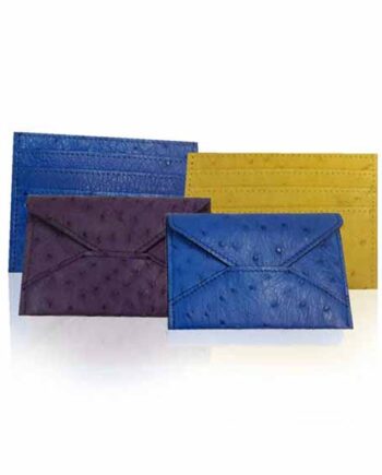 Ostrich Leather Envelope Cardholder