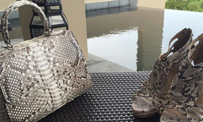 Why Python Skin Is A Perfect Choice For Handbag