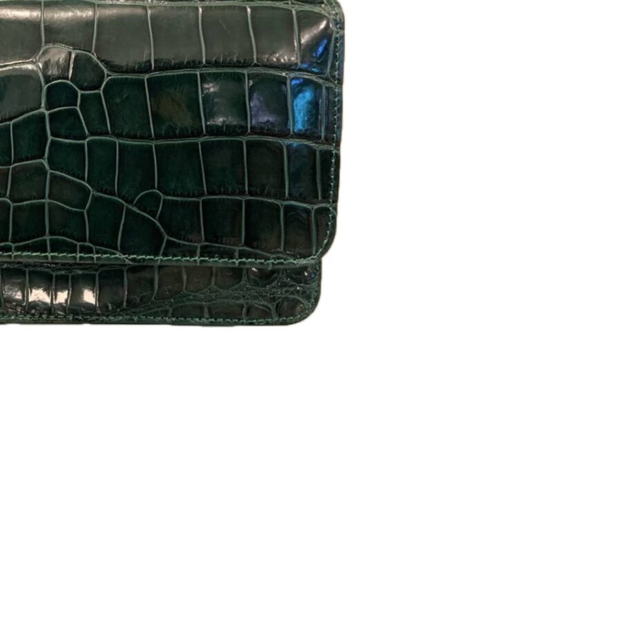 Barzaar Shiny Emerald Green Crocodile Sling Bag