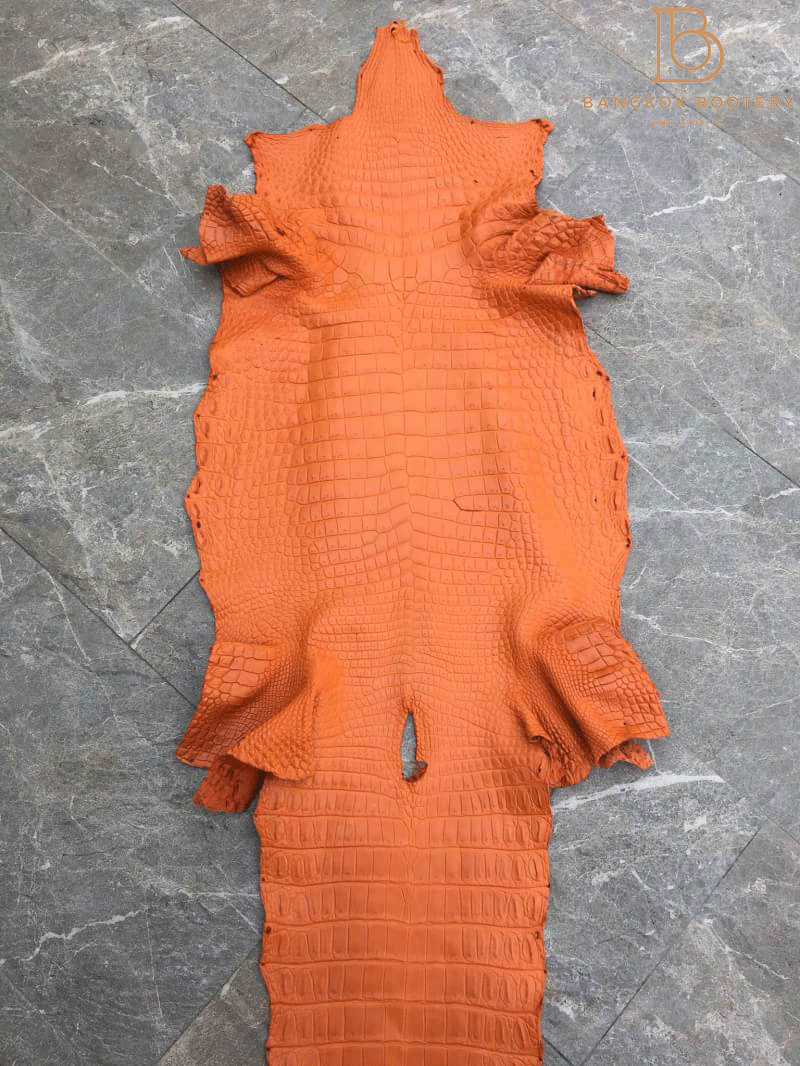 crocodile skin for sale