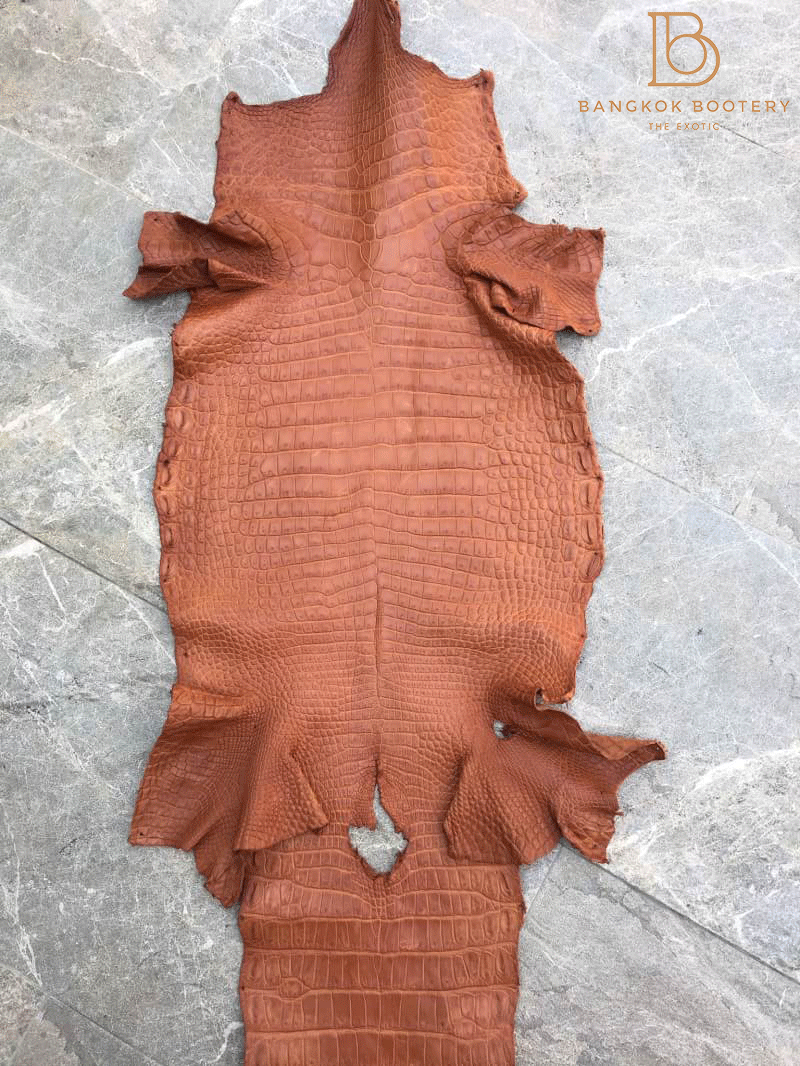 crocodile skin for sale