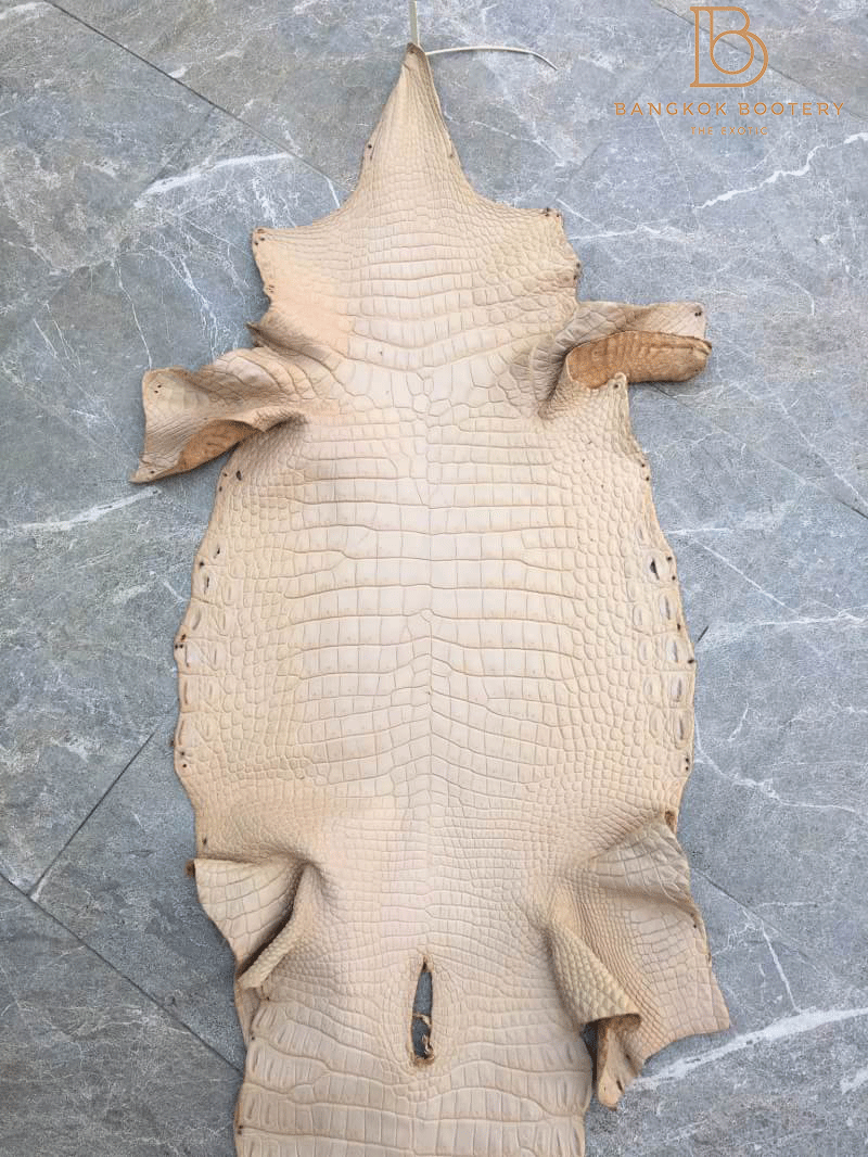 crocodile skin for sale