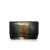 Barzaar Metallic (GoldGreenBlack) Python Clutch Bag