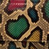 Barzaar Multi Color Python Clutch Bag