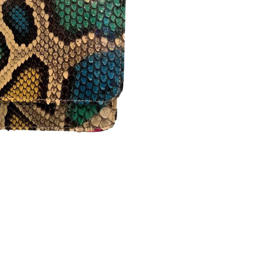 Barzaar Multi Color Python Clutch Bag