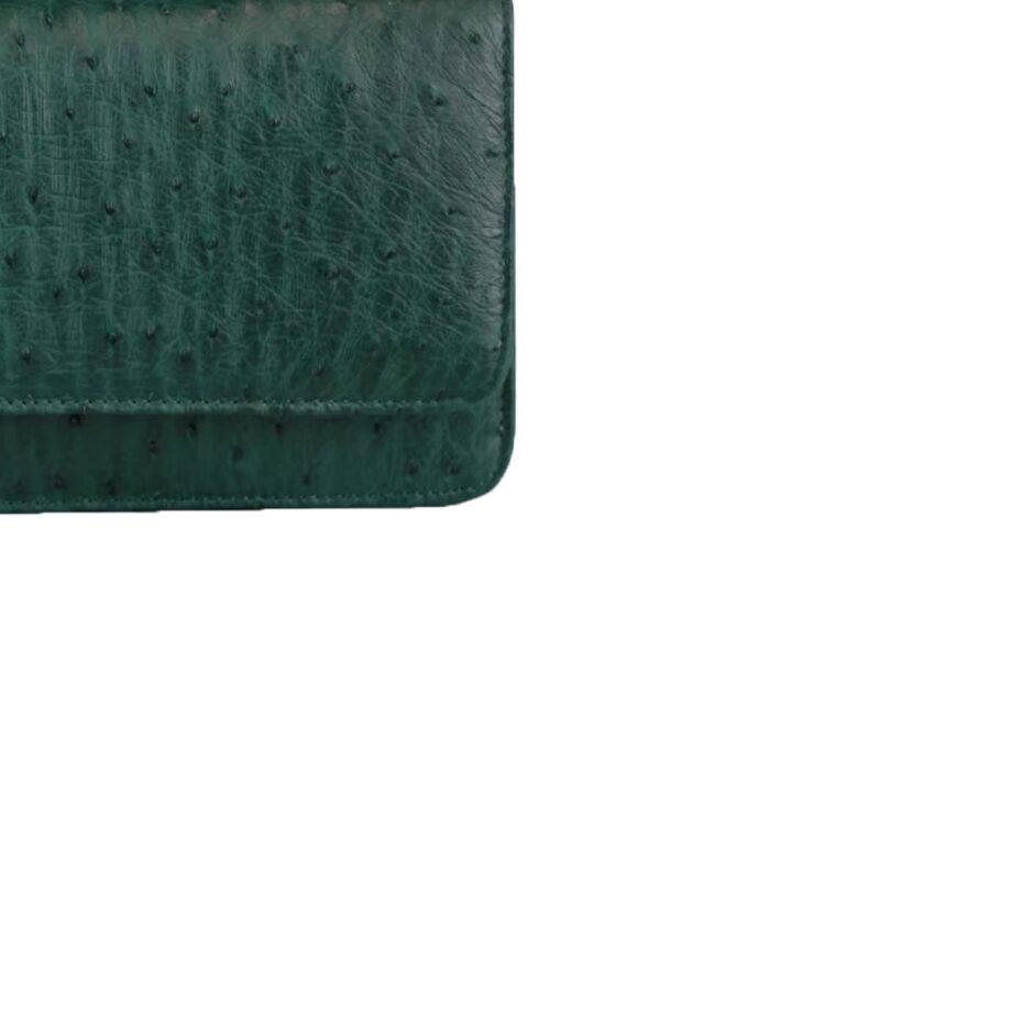 Barzaar Top Handle Green Ostrich Leather Clutch Bag