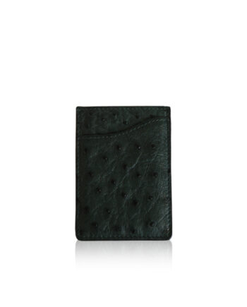 Ostrich Leather Vertical Card Holder, Green