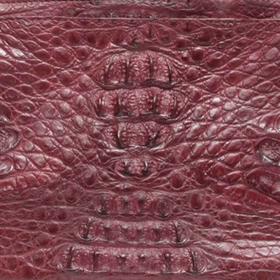 Arale Bag Crocodile Hornback Leather Sling Bag Modo Size 25 cm