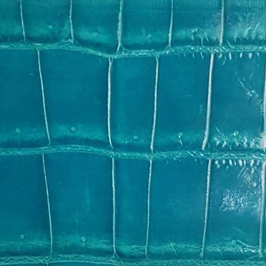 Crocodile Belly Leather 2 Pollar Purse Shiny Turquoise