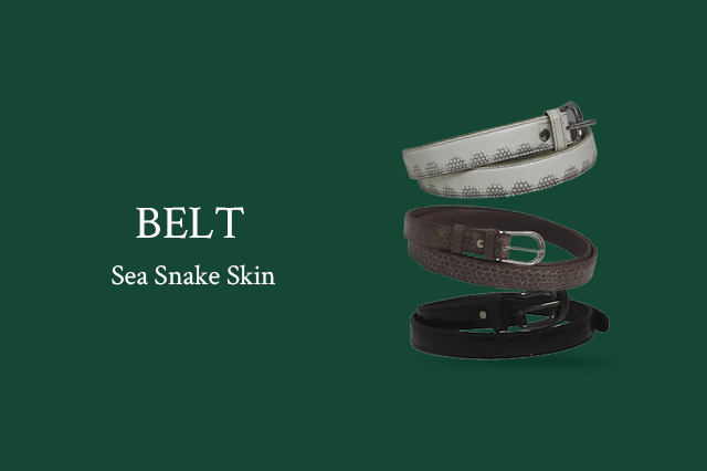 Sea Snake Accessories Belt